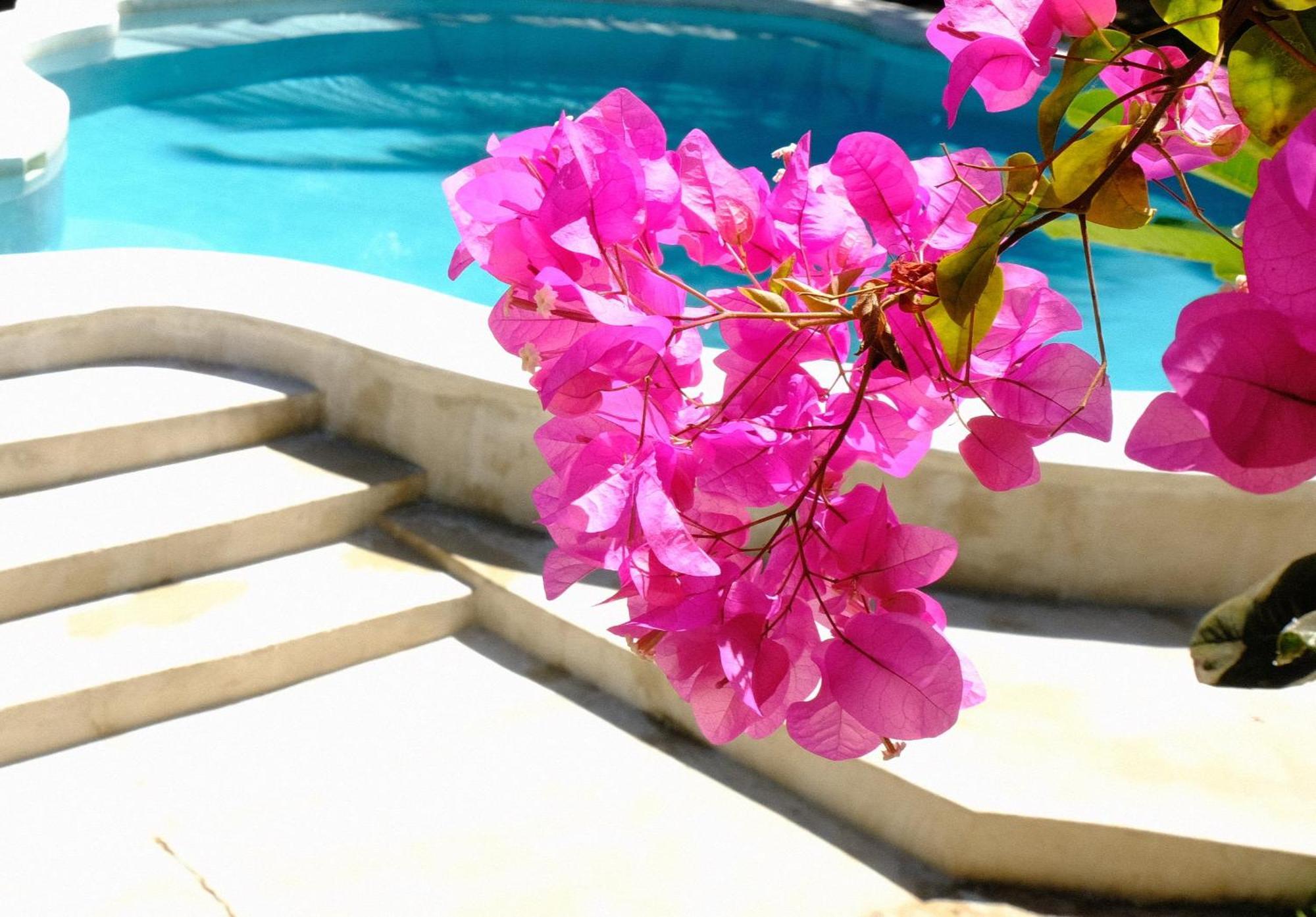 Bed and Breakfast Kobe House Jambiani  Exterior foto